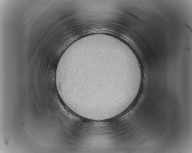 X0000099480849200806061243