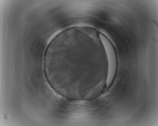 X0000099480853200806061244