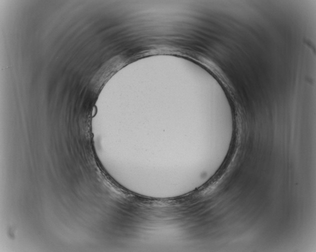 X0000099480857200806061244