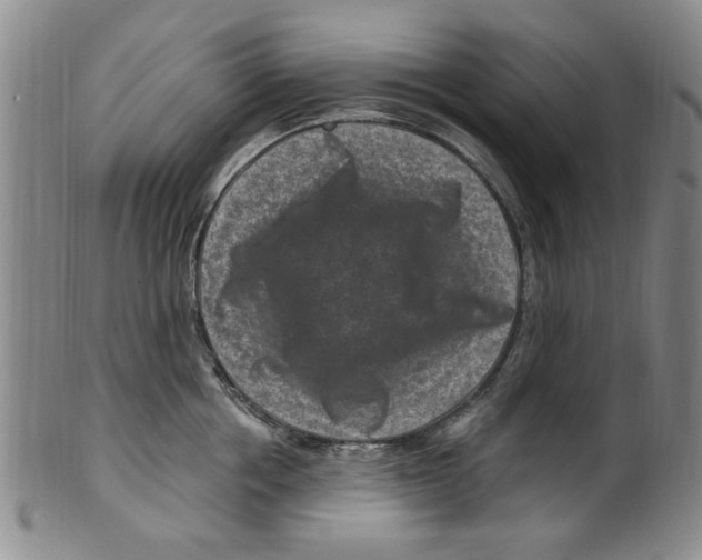 X0000099480858200806061244