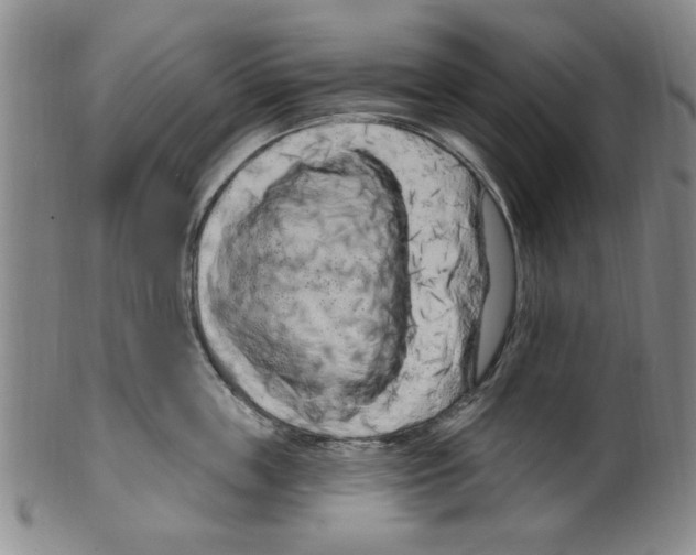 X0000099480859200806061244
