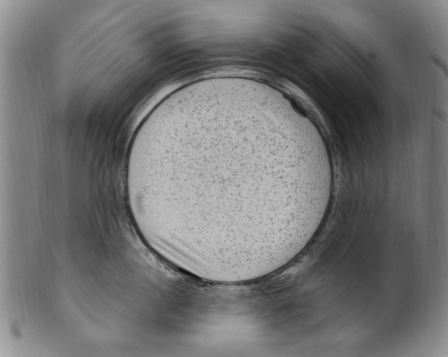 X0000099480860200806061244