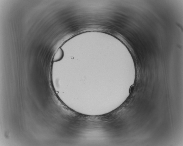 X0000099480861200806061244