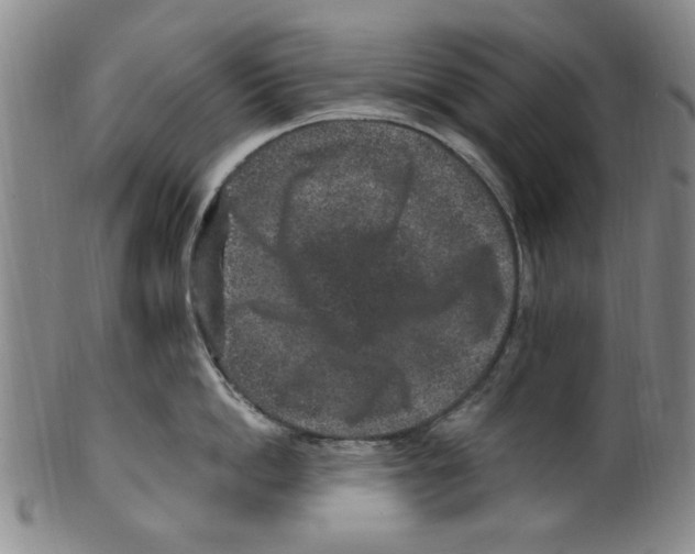 X0000099480862200806061244