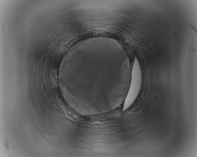 X0000099480868200806061242
