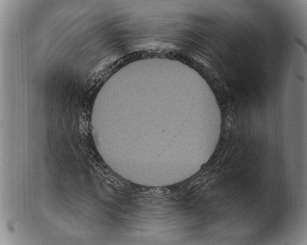 X0000099480869200806061242