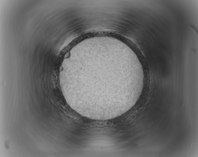 X0000099480871200806061242