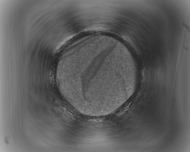 X0000099480872200806061242