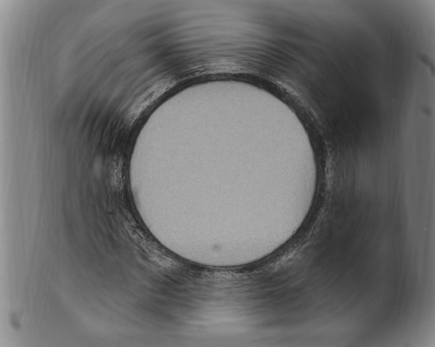 X0000099480873200806061242