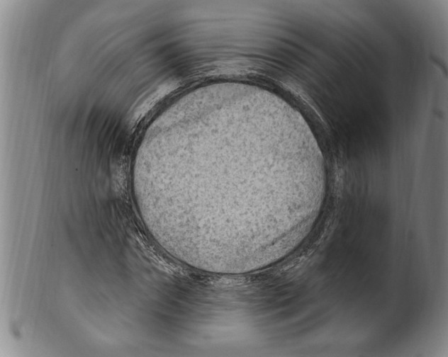 X0000099480874200806061242