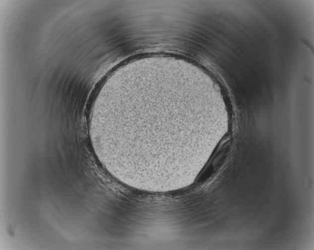 X0000099480876200806061242