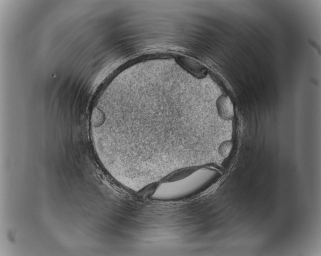 X0000099480877200806061242