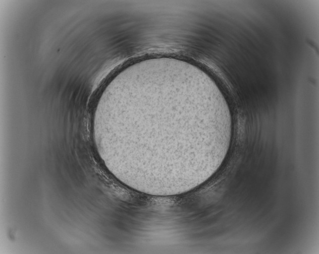 X0000099480878200806061242