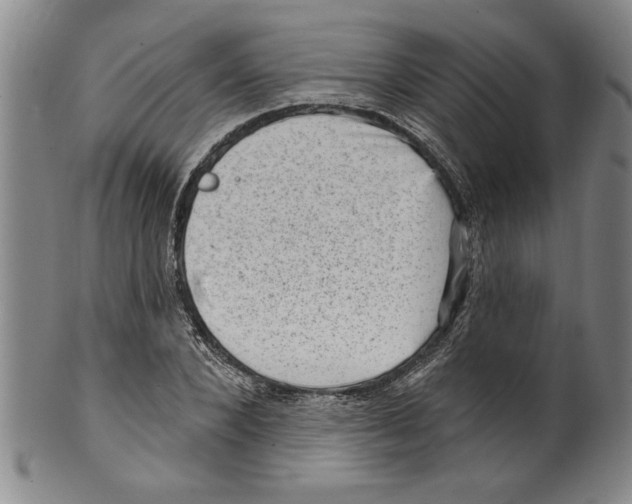 X0000099480880200806061242