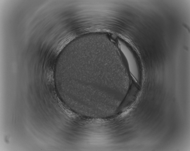 X0000099480881200806061242