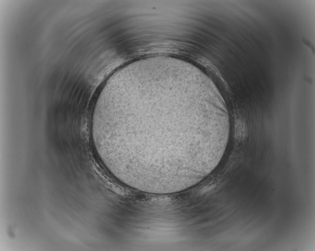 X0000099480882200806061242