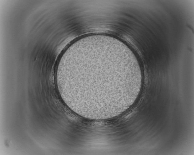 X0000099480883200806061242