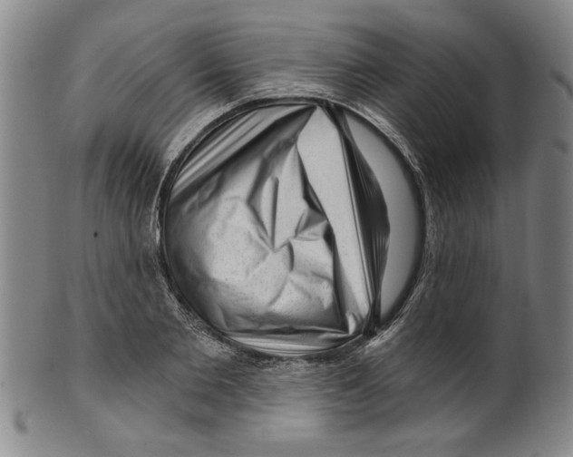 X0000099480885200806061242