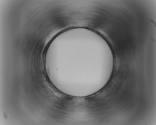 X0000099480886200806061242