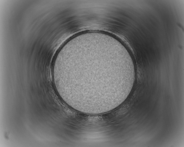 X0000099480887200806061242