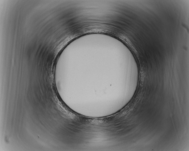 X0000099480890200806061242
