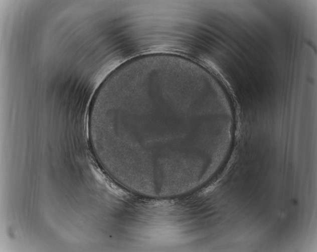 X0000099480892200806061242