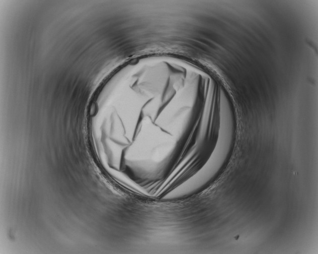 X0000099480894200806061242