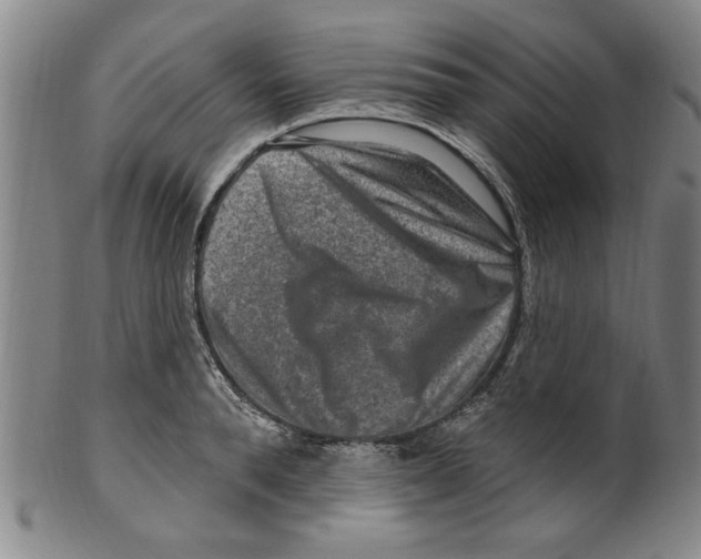 X0000099480896200806061242