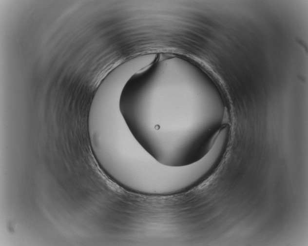 X0000099480897200806061242