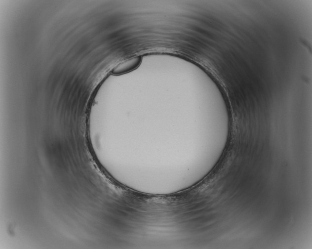 X0000099480898200806061242