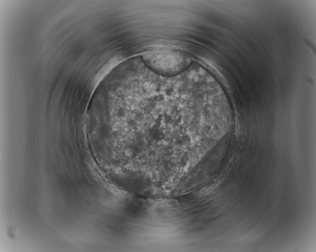 X0000099480899200806061242