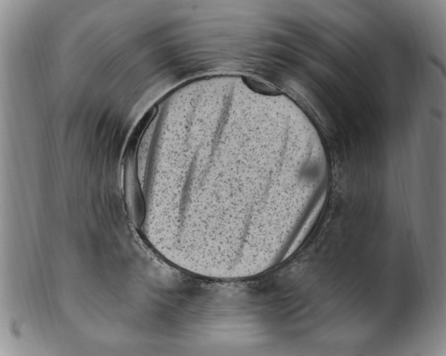 X0000099480900200806061242
