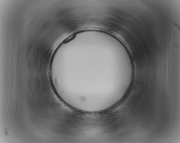 X0000099480901200806061242