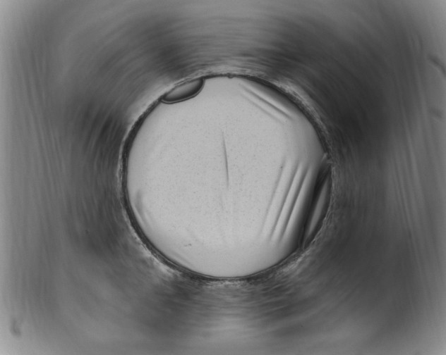 X0000099480902200806061242