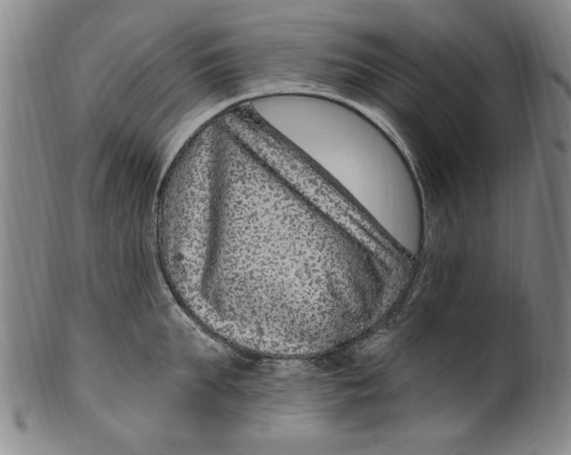 X0000099480903200806061242