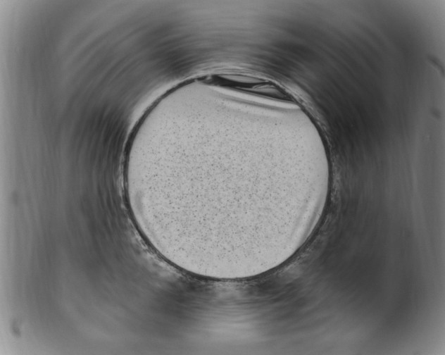X0000099480904200806061242