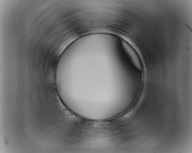 X0000099480905200806061242