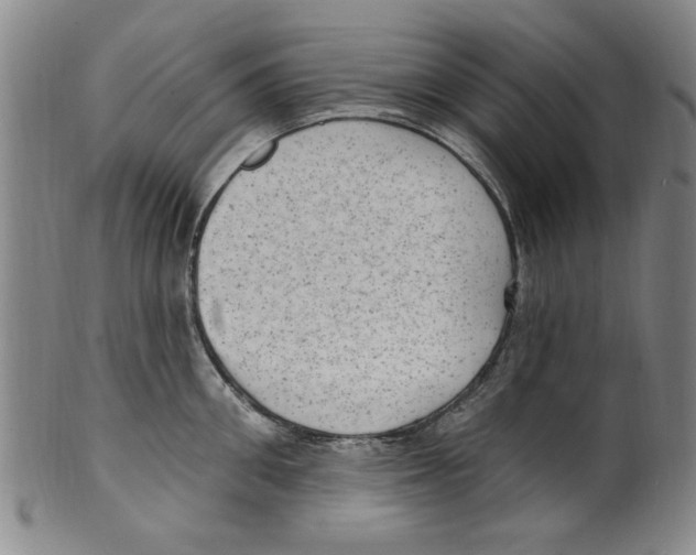 X0000099480906200806061242