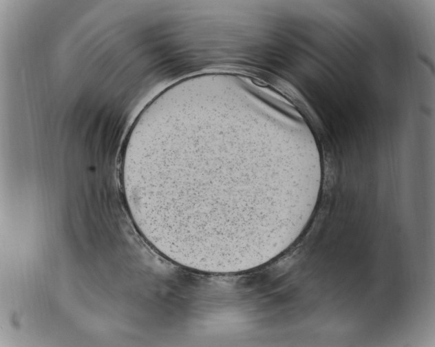 X0000099480908200806061242
