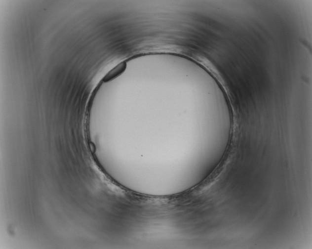 X0000099480909200806061242