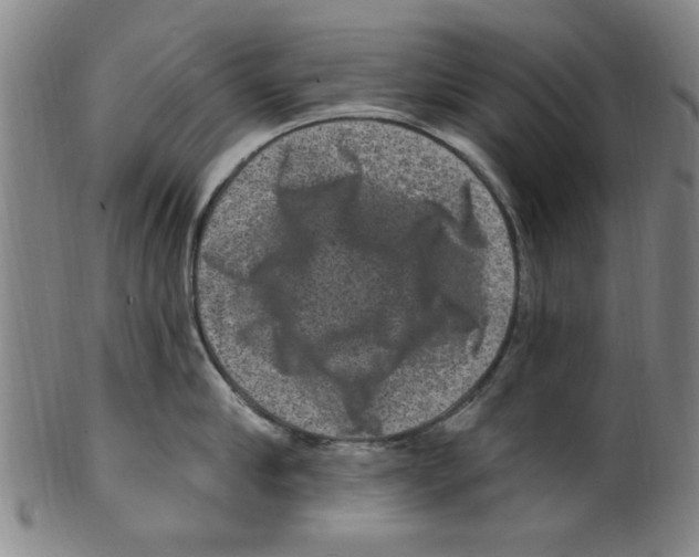X0000099480910200806061242