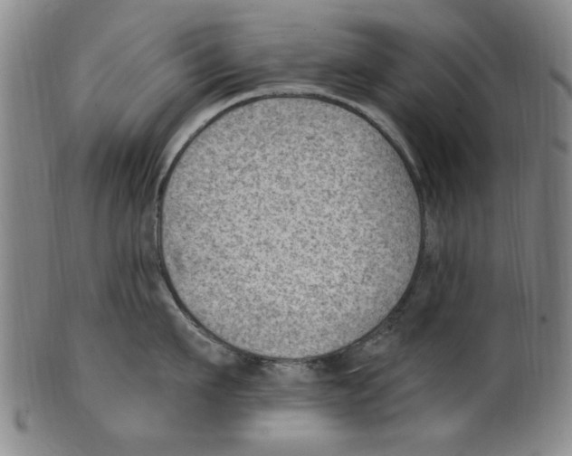 X0000099480911200806061242