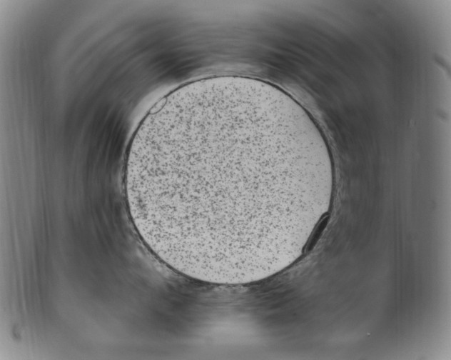 X0000099480912200806061242