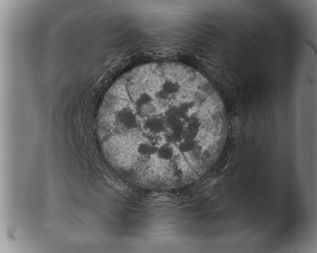 X0000099480913200806061241