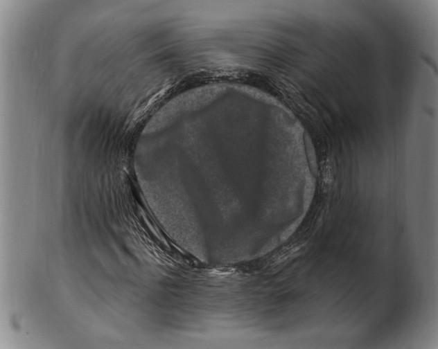 X0000099480916200806061241