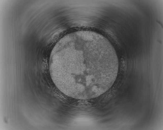 X0000099480918200806061241