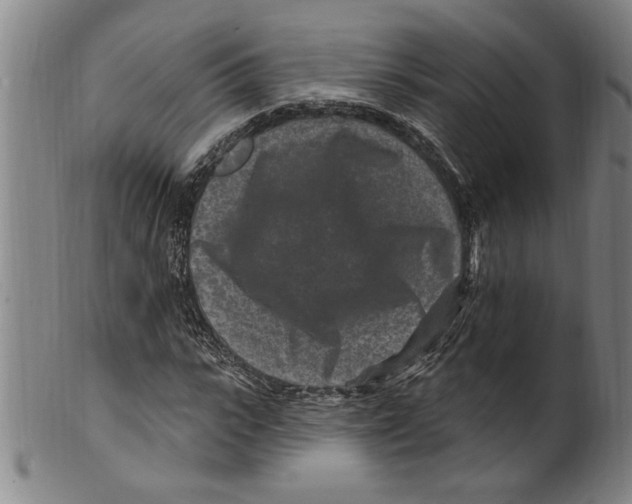 X0000099480919200806061241