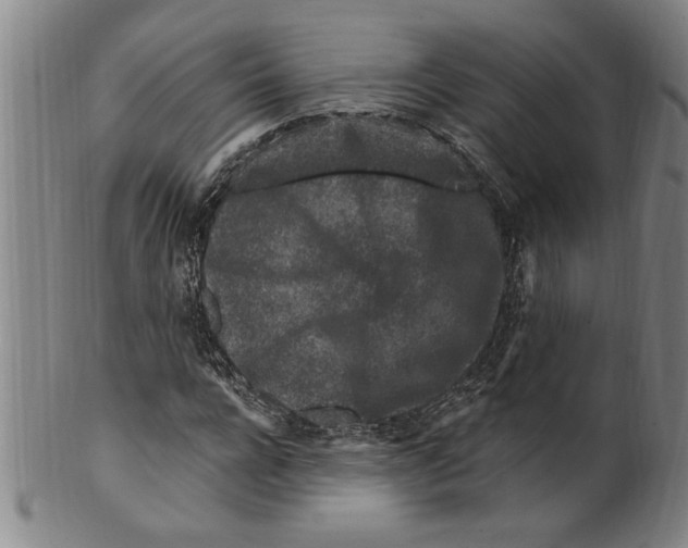 X0000099480920200806061241