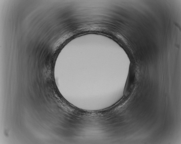 X0000099480922200806061241