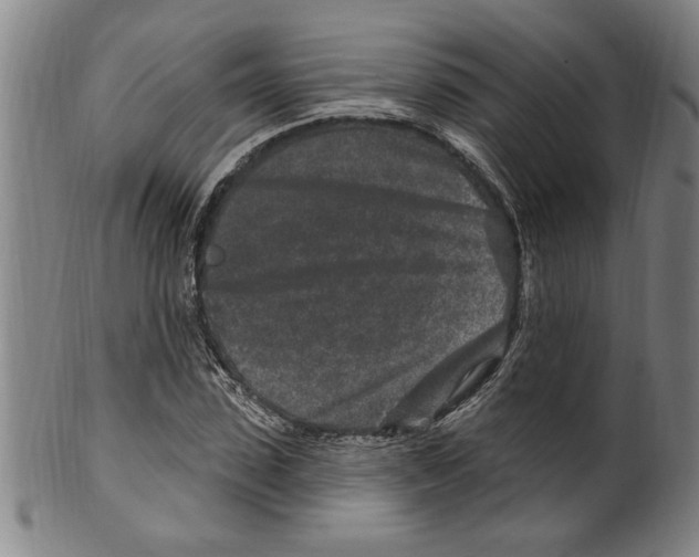 X0000099480923200806061241